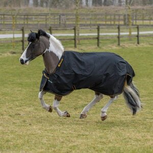 Bucas Irish Turnout Light Big Neck ulkoloimi