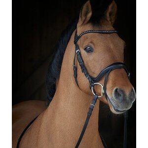 Kieffer Ilona nivelsuitset