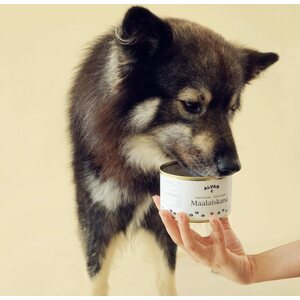 Alvar Pet Maalaiskanalisuke 400g