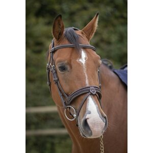 Pénélope Elegance nivelsuitset