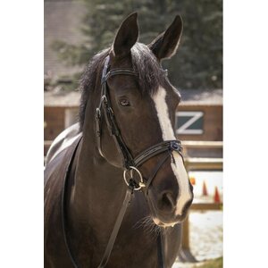Pénélope Smoothie nivelsuitset