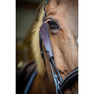Pénélope Blinkers