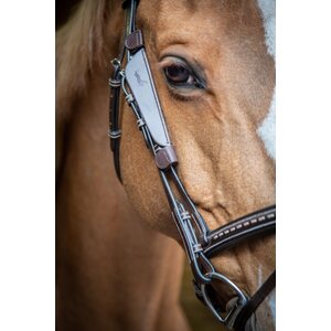 Pénélope Blinkers