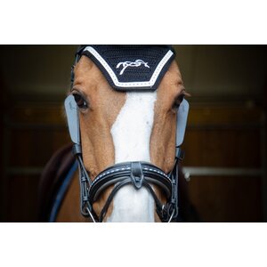 Pénélope Blinkers