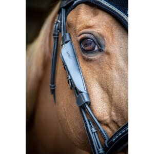 Pénélope Blinkers