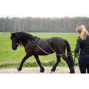 Imperial Riding Free Ajo-ohjat