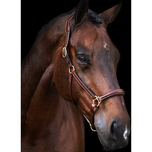 HV Polo Legacy nahkariimu