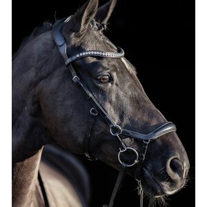 HV Polo Legacy Anatomical nivelsuitset