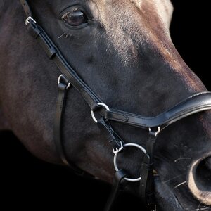 HV Polo Legacy Anatomical nivelsuitset