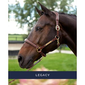 HV Polo Legacy nahkariimu