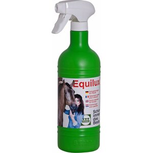 Stassek Equilux pikapuhdistusaine sumuttimella 750ml