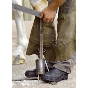 Mountain Horse Protective Jodhpur