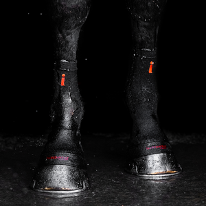 Incrediwear Equine Circulation kaviosukat