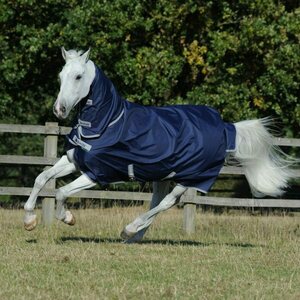 Bucas Freedom Turnout Light Full Neck sadeloimi