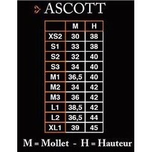 Soubirac Ascott minichapsit