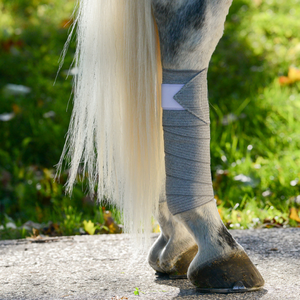Incrediwear Equine Circulation Pintelit