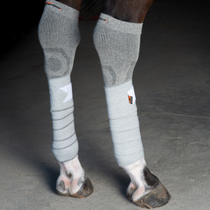 Incrediwear Equine Circulation Pintelit