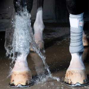 Incrediwear Equine Circulation Pintelit