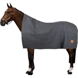 HV Polo Scottie villaviltti