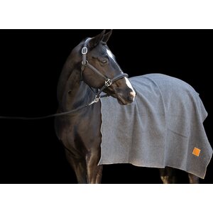 HV Polo Scottie villaviltti