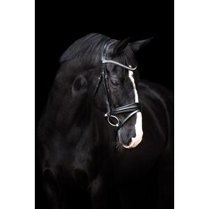 Imperial Riding Fria nivelsuitset
