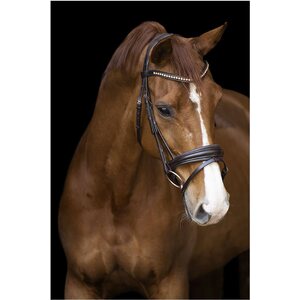 Imperial Riding Fria nivelsuitset