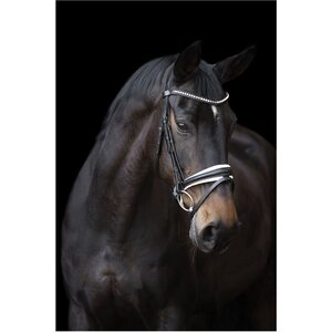 Imperial Riding Fria nivelsuitset