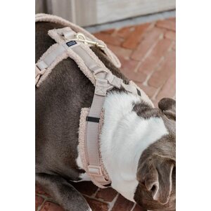 Kentucky Active Teddy koiranvaljaat
