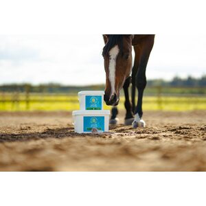 Eclipse Psyllium 5kg