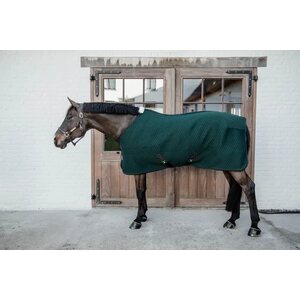 Kentucky 4D Spacer Cooler loimi