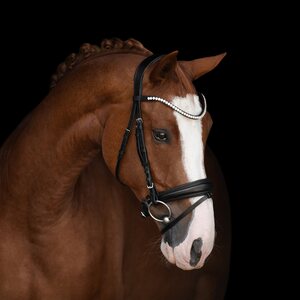 Kieffer Victoria II nivelsuitset