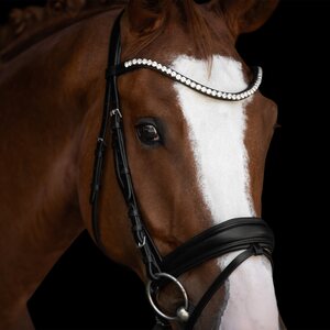 Kieffer Victoria II nivelsuitset