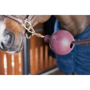 Kentucky Wall&Lead suojapallo