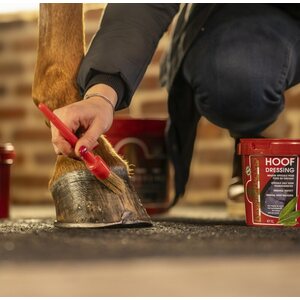 Kevin Bacon's Original Hoof Dressing kaviorasva