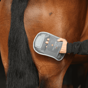 Equilibrium Massage Mit Hotspot hierontakinnas