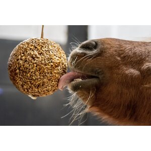 Likit Granola Stall Ball piparipallo