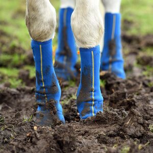 Equilibrium Equi-Chaps Close Contact tarhasuojat