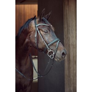 Horse Guard Universal Curve kolmipala
