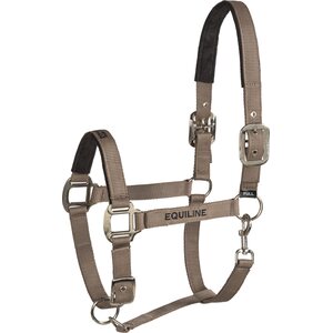 Equiline Gest riimu ja riimunnaru