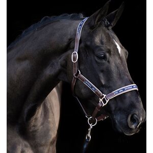 HV Polo Iconic riimu