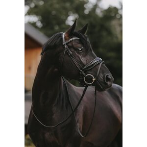 Dy'on Patent Large Crank noseband nivelsuitset