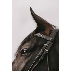 Dy'on Patent Large Crank noseband nivelsuitset