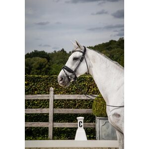 Dy'on Patent Large Crank noseband nivelsuitset