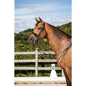 Dy'on Patent Large Crank Noseband Kankisuitset