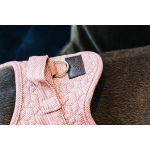 Kentucky Body Safe Wool koiran valjaat