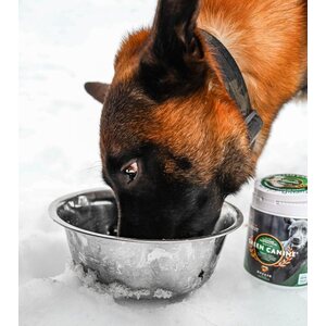 Green Stallion Green Canine koirien elektrolyytti 500g
