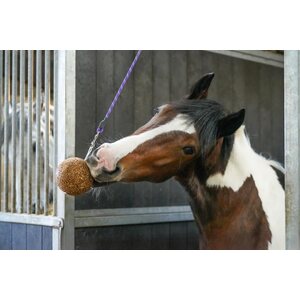 Likit GranoLo Stall Ball herkkupallo