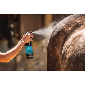 Carr & Day & Martin Canter Coat Shine Conditioner 500ml