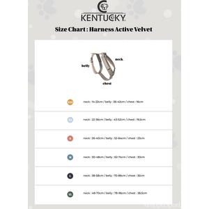 Kentucky Active Teddy koiranvaljaat