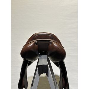 Equiline estesatula